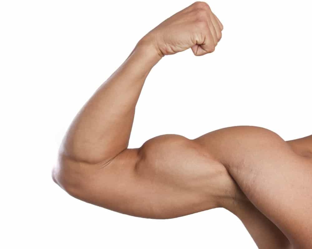 imagen de protesis de biceps renacimiento madrid y marbella estetica corporal