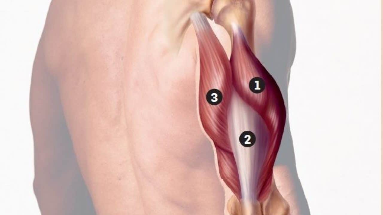 imagen de protesis de Tríceps clinica renacimiento madrid